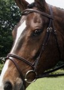 Obrazek