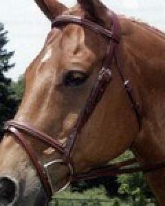 Obrazek