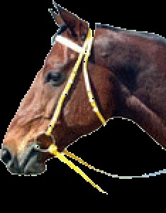 Obrazek