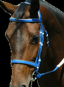 Obrazek
